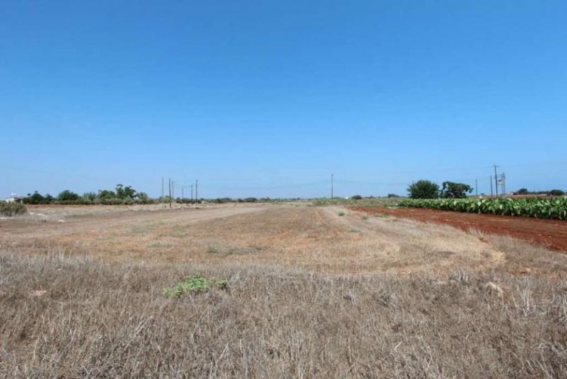 Ayia Thekla Prime Location, HUGE PLOT of land with structure of 5 bedroom, 3 bathroom property all ready in place in Ayia Thekla - fantast