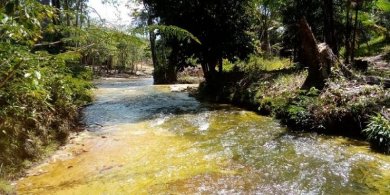  Brasilien 100 Ha Bauernhaus für Fischzucht und Plantagen mit Privatsee bei Presidente Figueiredo AM Grundstück kaufen