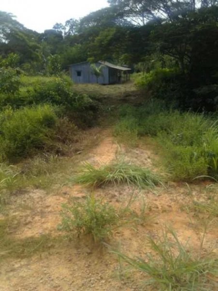  Brasilien 100 Ha Tiefpreis - Grundstück mit Fischgewässer und Holzhaus in der Nähe von Manaus Grundstück kaufen