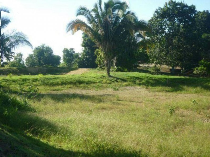  Brasilien 100 Ha Tiefpreis - Grundstück mit Fischgewässer und Holzhaus in der Nähe von Manaus Grundstück kaufen