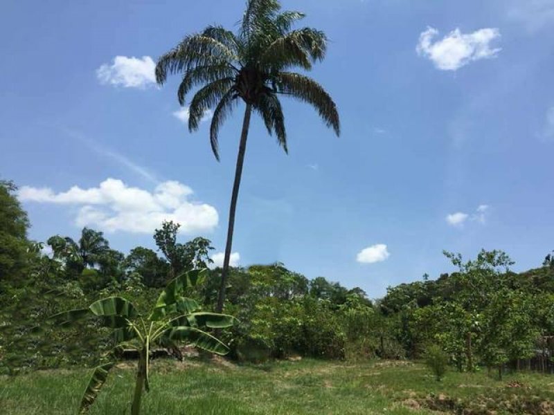  Brasilien 100 HA Tiefpreis - Grundstück mit Fischzucht Grundstück kaufen