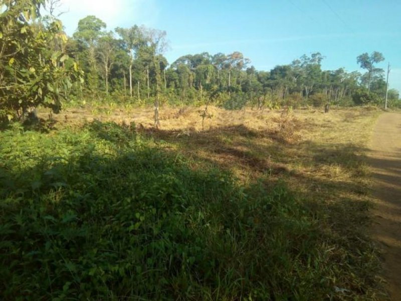  Brasilien 100 Ha Tiefpreis - Grundstück mit Fischgewässer und Holzhaus in der Nähe von Manaus Grundstück kaufen