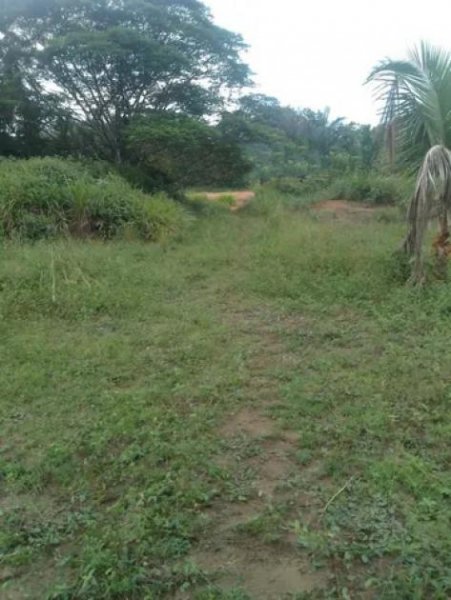  Brasilien 100 Ha Tiefpreis - Grundstück mit Fischgewässer und Holzhaus in der Nähe von Manaus Grundstück kaufen