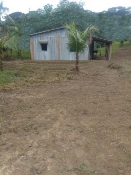  Brasilien 100 Ha Tiefpreis - Grundstück mit Fischgewässer und Holzhaus in der Nähe von Manaus Grundstück kaufen