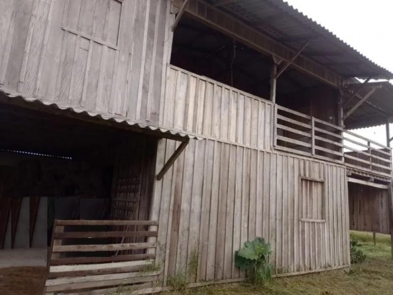  Brasilien 100 Ha Tiefpreis - Grundstück mit Fischteich und Holzhaus in der Nähe von Manaus Grundstück kaufen