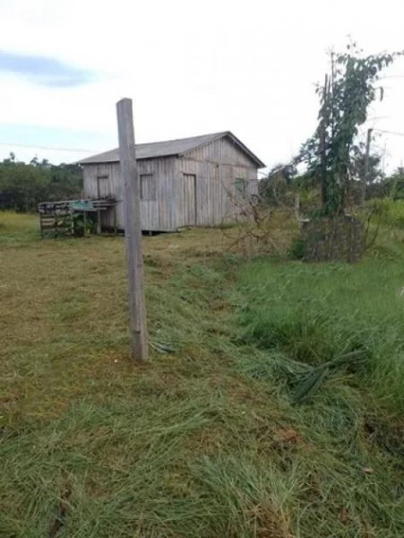  Brasilien 100 Ha Tiefpreis - Grundstück mit Fischteich und Holzhaus in der Nähe von Manaus Grundstück kaufen