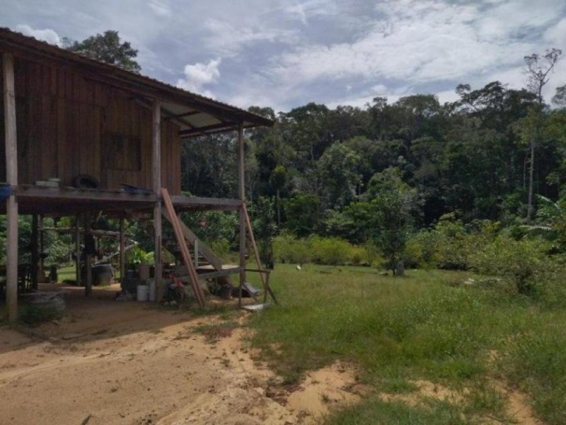  Brasilien 1'000 Ha Tiefpreis - Grundstück mit Rohstoffen Gewerbe kaufen