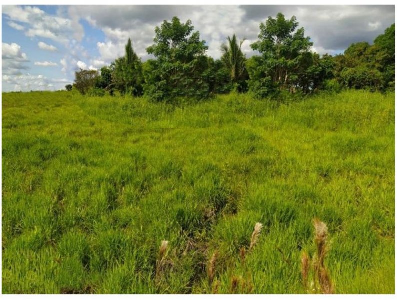  Brasilien 1'000 Ha Tiefpreis - Grundstück mit Rohstoffen Gewerbe kaufen