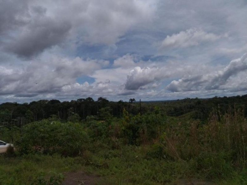  Brasilien 1'000 Ha Tiefpreis - Grundstück mit Rohstoffen Gewerbe kaufen