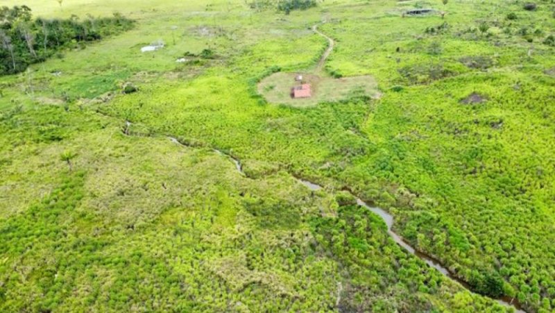  Brasilien 1'000 Ha Tiefpreis - Grundstück mit Rohstoffen Gewerbe kaufen