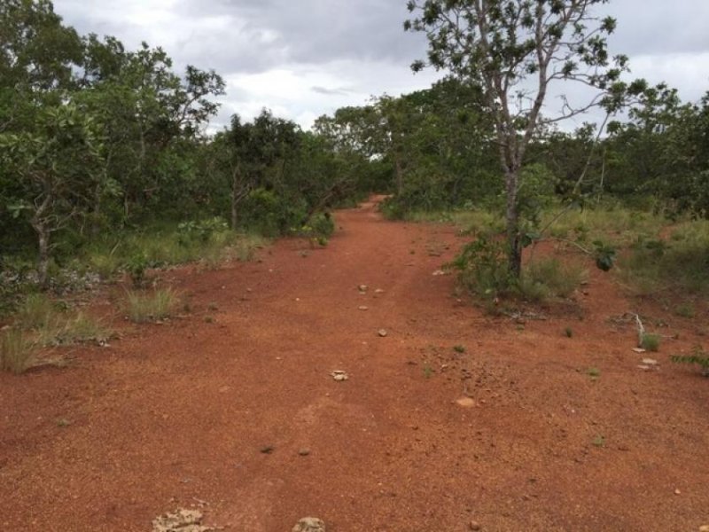  Brasilien 1'000 Ha Tiefpreis - Grundstück mit Rohstoffen Grundstück kaufen