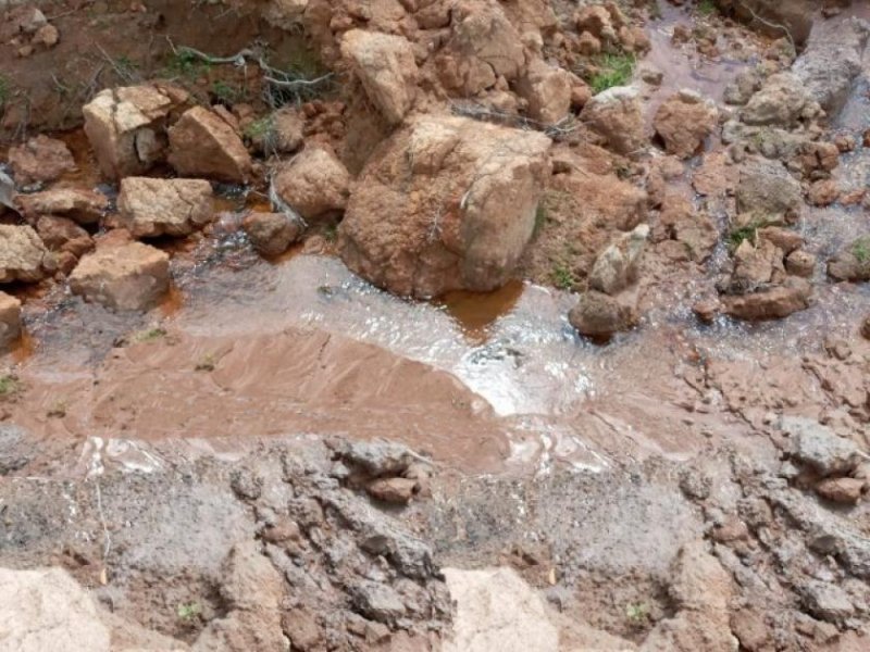  Brasilien 1'000 Ha Tiefpreis - Grundstück mit Rohstoffen Grundstück kaufen