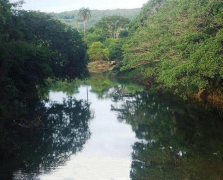  Brasilien 1'000 Ha Tiefpreis - Grundstück mit Rohstoffen Grundstück kaufen