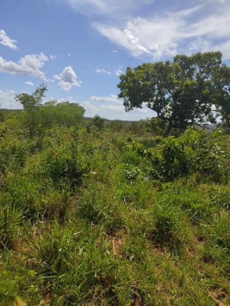  Brasilien 1'000 Ha Tiefpreis - Grundstück mit Rohstoffen Grundstück kaufen