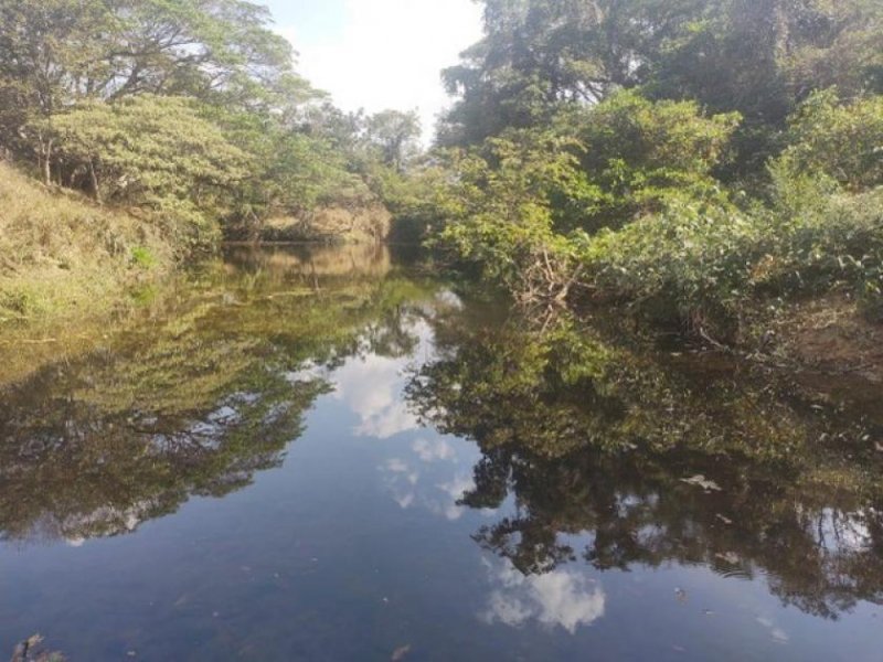  Brasilien 1'000 Ha Tiefpreis - Grundstück mit Rohstoffen Grundstück kaufen