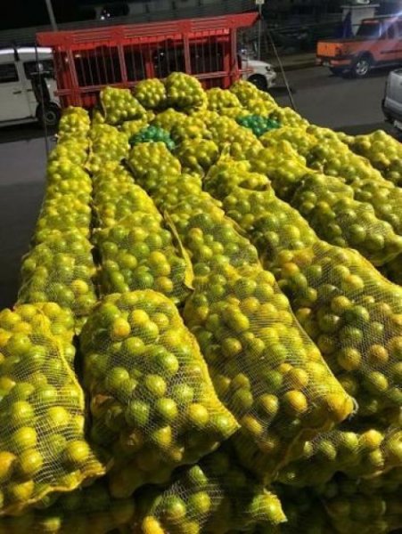  Brasilien 1036 Ha Früchte - Kokosnuss - Viehzucht – Farm mit Sandmine Manaus - AM Grundstück kaufen