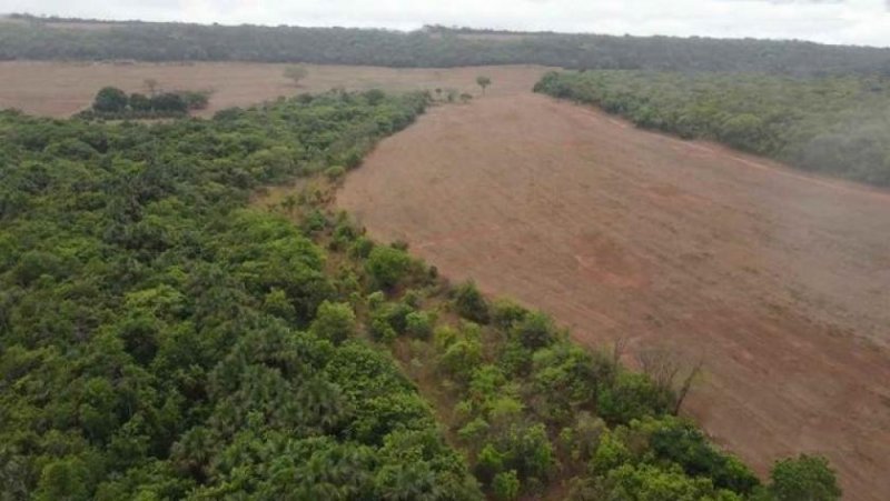  Brasilien 145'198 Ha grosses Grundstück mit Privatsee Grundstück kaufen