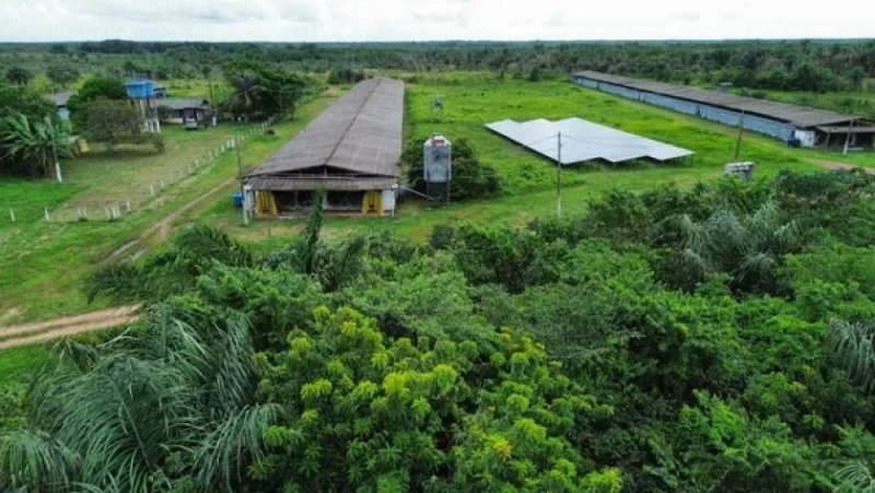  Brasilien – 250 Hektar grosse Chicken Fabrik Grundstück kaufen