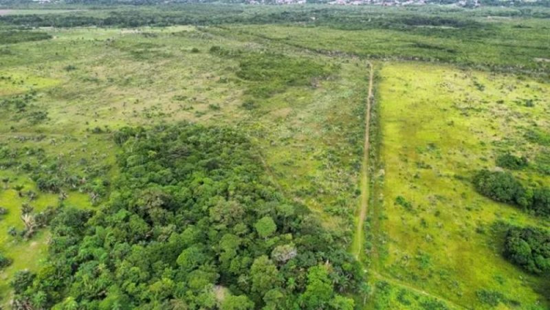  Brasilien – 250 Hektar grosse Chicken Fabrik Grundstück kaufen