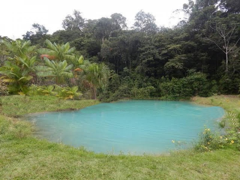  Brasilien 2'800 Ha Tiefpreis - Grundstück mit Rohstoffen Grundstück kaufen