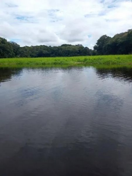  Brasilien 40 HA Tiefpreis - Grundstück mit Fischzucht - Region Manaus AM Grundstück kaufen