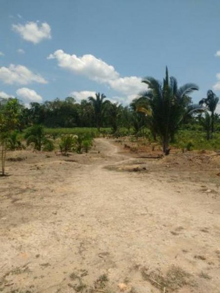  Brasilien 40 Ha Tiefpreis-Farm in der Nähe von Autazes AM Grundstück kaufen