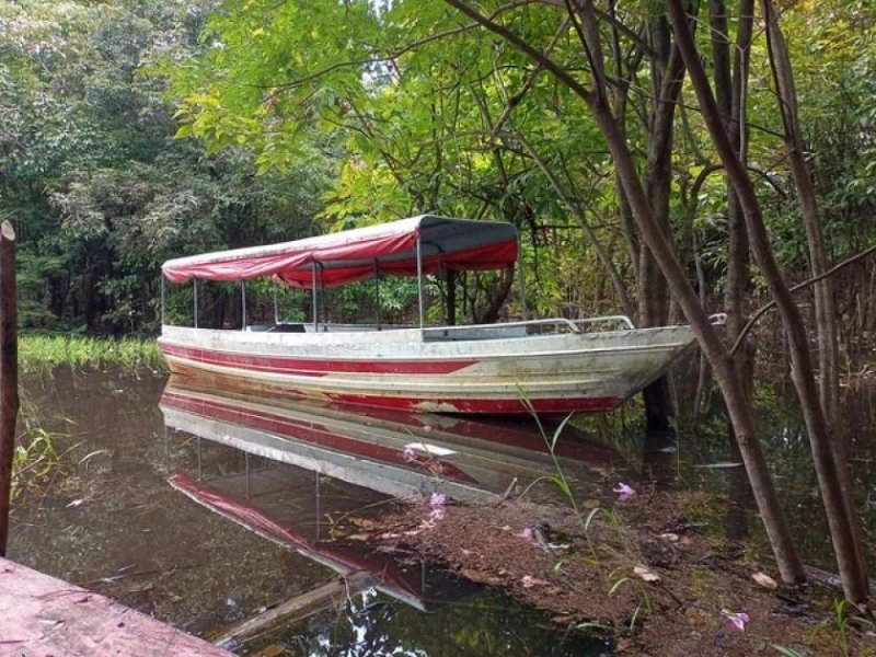  Brasilien 40 HA Tiefpreis - Grundstück mit Fischzucht - Region Manaus AM Grundstück kaufen