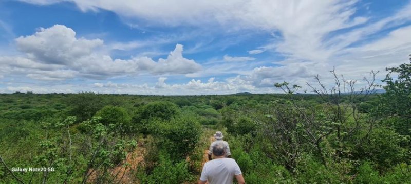  Brasilien 560 Ha grosses Tiefpreis-Grundstück bei Region Recife - PE Grundstück kaufen