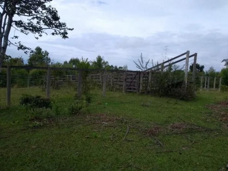  Brasilien 6'000 Ha Rohstoff - Land Region Manaus - Tefe AM Grundstück kaufen