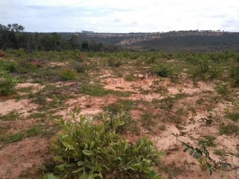  Brasilien 6'000 Ha Rohstoff - Land Region Manaus - Tefe AM Grundstück kaufen