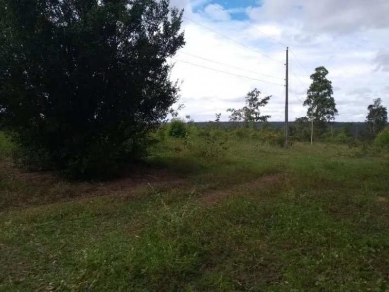  Brasilien 6'000 Ha Rohstoff - Land Region Manaus - Tefe AM Grundstück kaufen