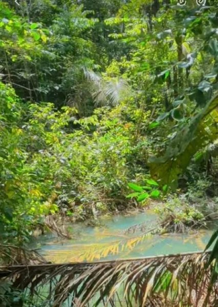  Brasilien 75.035 Ha Tiefpreis-Grundstück bei der Stadt Balbina AM Grundstück kaufen