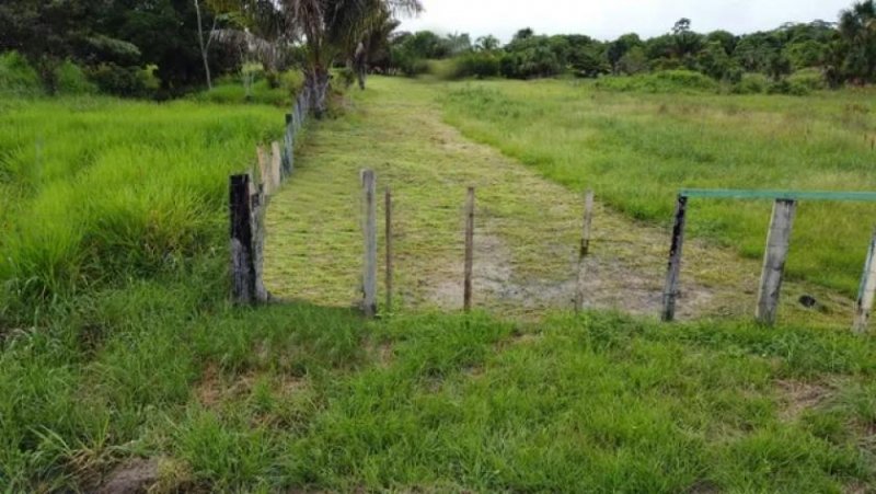  Brasilien 75.035 Ha Tiefpreis-Grundstück bei der Stadt Balbina AM Grundstück kaufen