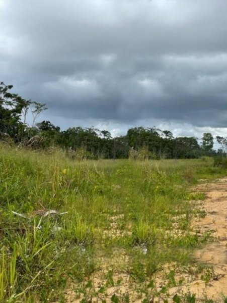  Brasilien riesengrosses 3'000 Ha Tiefpreis - Grundstück mit Rohstoffen Grundstück kaufen