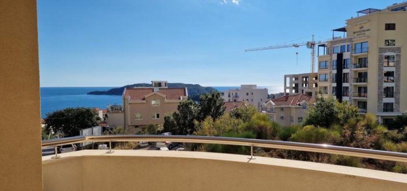 Budva Apartment is located 500 meters from the beach. It has open floor living room with kitchen and dining area, a bedroom and a 

It