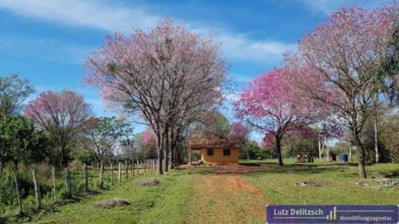  Carapegua Sehr großes Grundstück mit Wohn- und Gästehaus in Paraguay Gewerbe kaufen