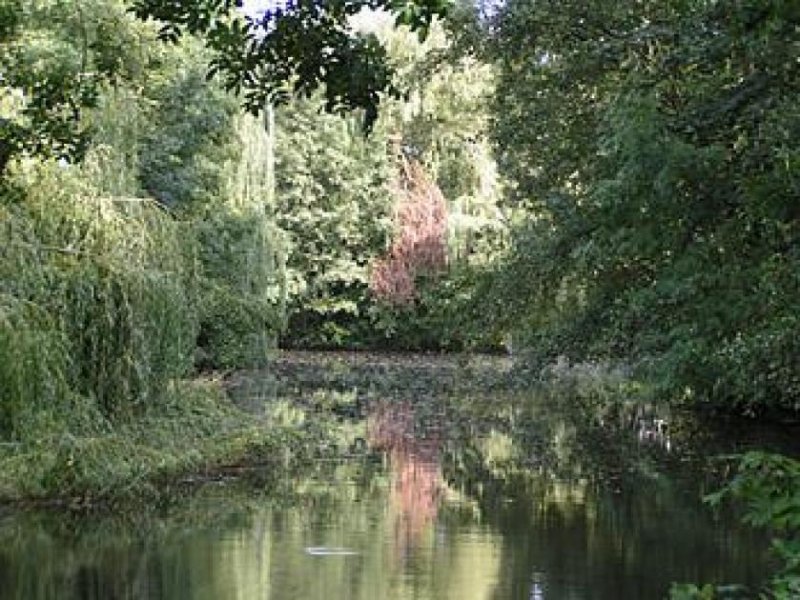 Dioknisi Farm in Georgien mit Weideland und 2 Fischseen Gewerbe kaufen