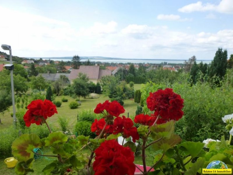  Einfamilienhaus in Vonyarcvashegy mit unverbaubare Seeblick. Haus kaufen