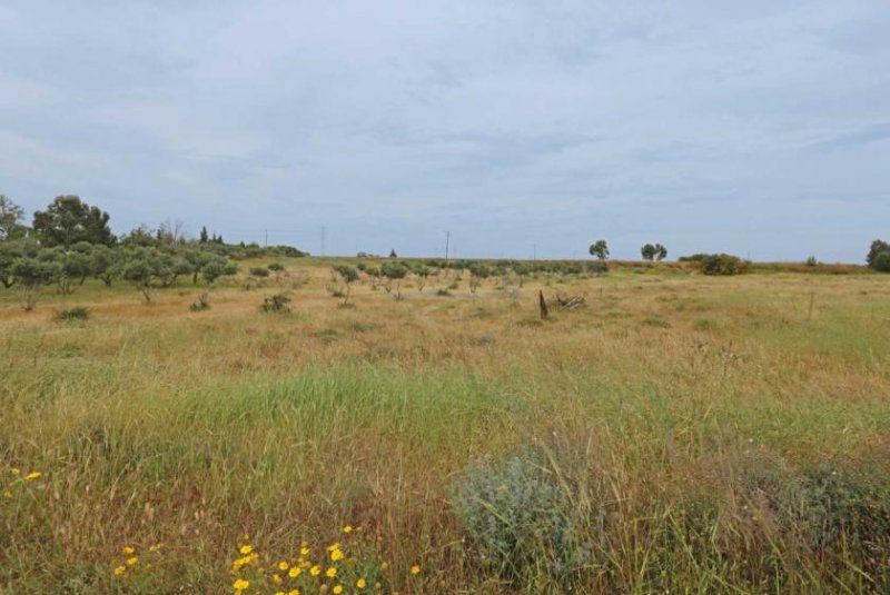 Frenaros 1508m2 plot of Agricultural land by Frenaros village - LFRE158.Located just off the Frenaros to Vrysoulles road, accessible by