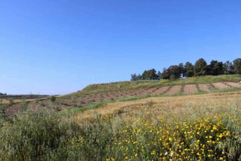 Frenaros Large plot of land for sale in Picturesque area of Frenaros - LFRE152.Located near the church of Panagia Asprvouniotissa with an