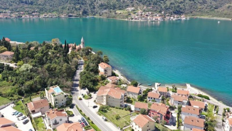 Kotor Apartment is Kotor, in the groundfloor of a small sophisticated building by the sea. Green terrace with seaview of 47 m2, and a