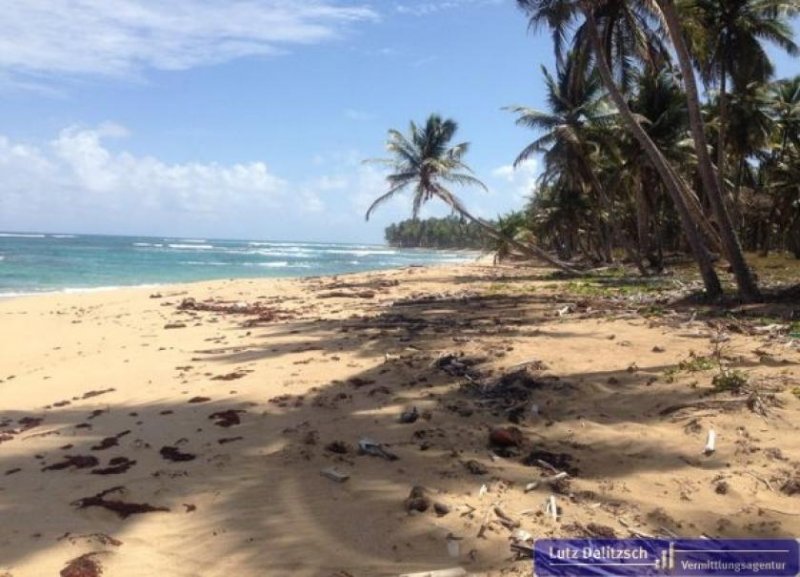 Playa Guaco Großes Baugrundstück in direkter Strandlage Grundstück kaufen