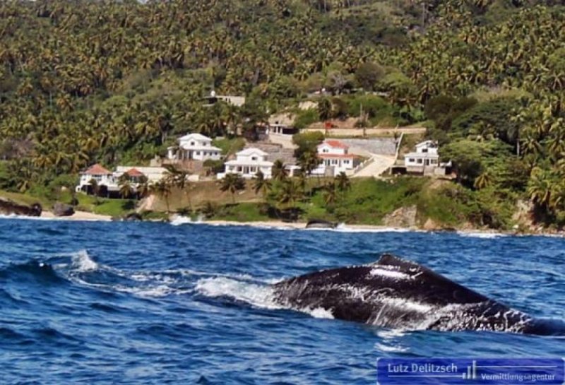 Punta Balandra Traum-Villa als Neubau direkt am Meer Haus kaufen