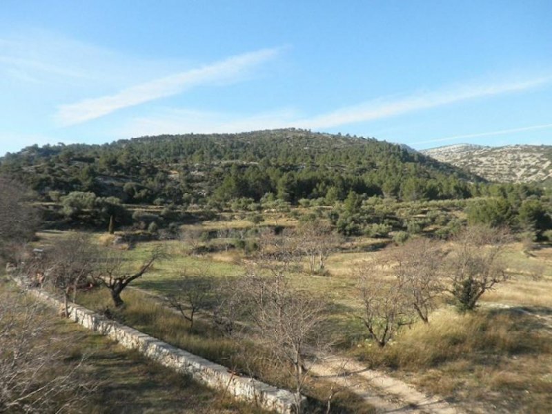 Rossell Grosses Landhaus in den Bergen von Rosell - ideal auch fuer Jaeger

Die Liegenschaft liegt ca. 2km von dem kleinen Ort Rosell,