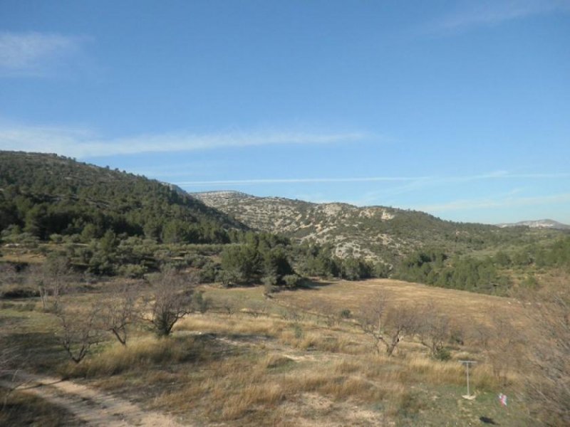 Rossell Grosses Landhaus in den Bergen von Rosell - ideal auch fuer Jaeger

Die Liegenschaft liegt ca. 2km von dem kleinen Ort Rosell,