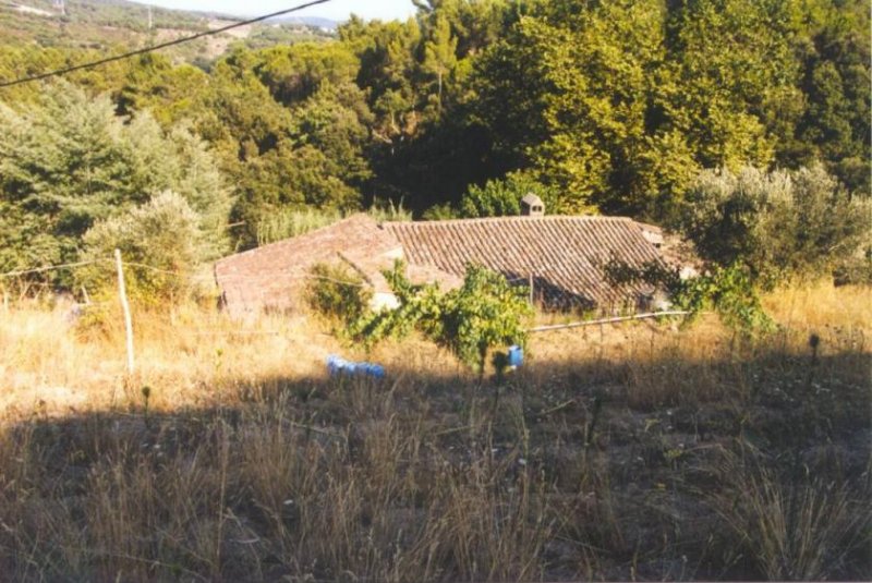 Sant Iscle de Vallalta Dieses Bauernhaus befindet sich am Rande des Montnegre Naturparks in einem Gebiet mit mediterranem Wald, wo sich 
auch noch Haus