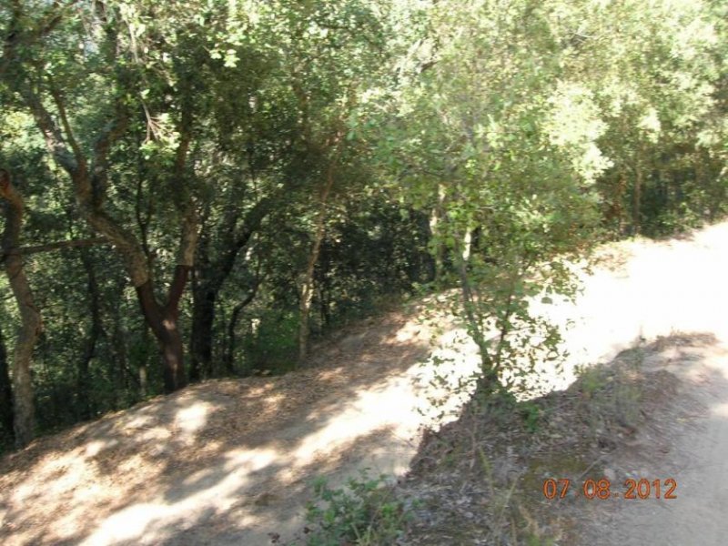 Sant Iscle de Vallalta Dieses Bauernhaus befindet sich am Rande des Montnegre Naturparks in einem Gebiet mit mediterranem Wald, wo sich 
auch noch Haus