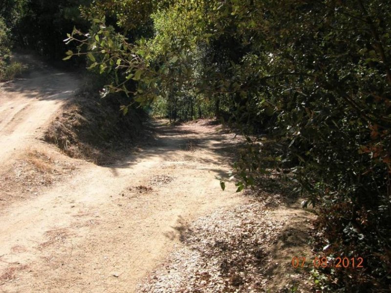 Sant Iscle de Vallalta Dieses Bauernhaus befindet sich am Rande des Montnegre Naturparks in einem Gebiet mit mediterranem Wald, wo sich 
auch noch Haus