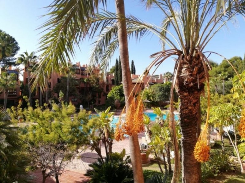 Santa Ponsa Wunderschöne Wohnung in einer gehobenen Anlage mit tollem Palmengarten ! Wohnung kaufen