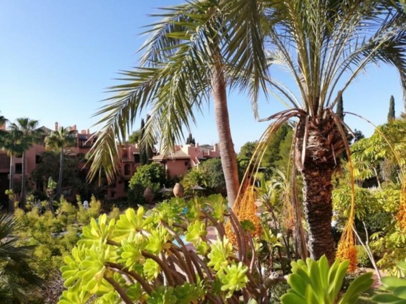 Santa Ponsa Wunderschöne Wohnung in einer gehobenen Anlage mit tollem Palmengarten ! Wohnung kaufen